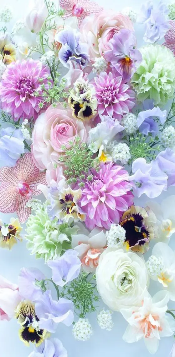 Beautiful  Flowers