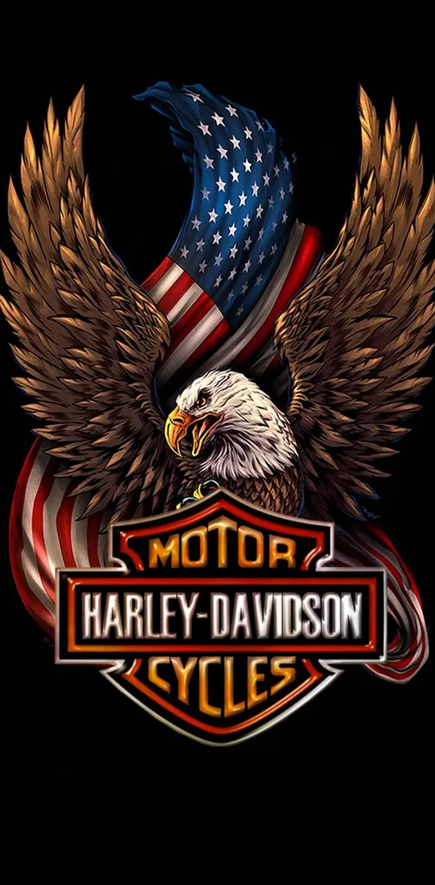 Usa Harley Davidson 