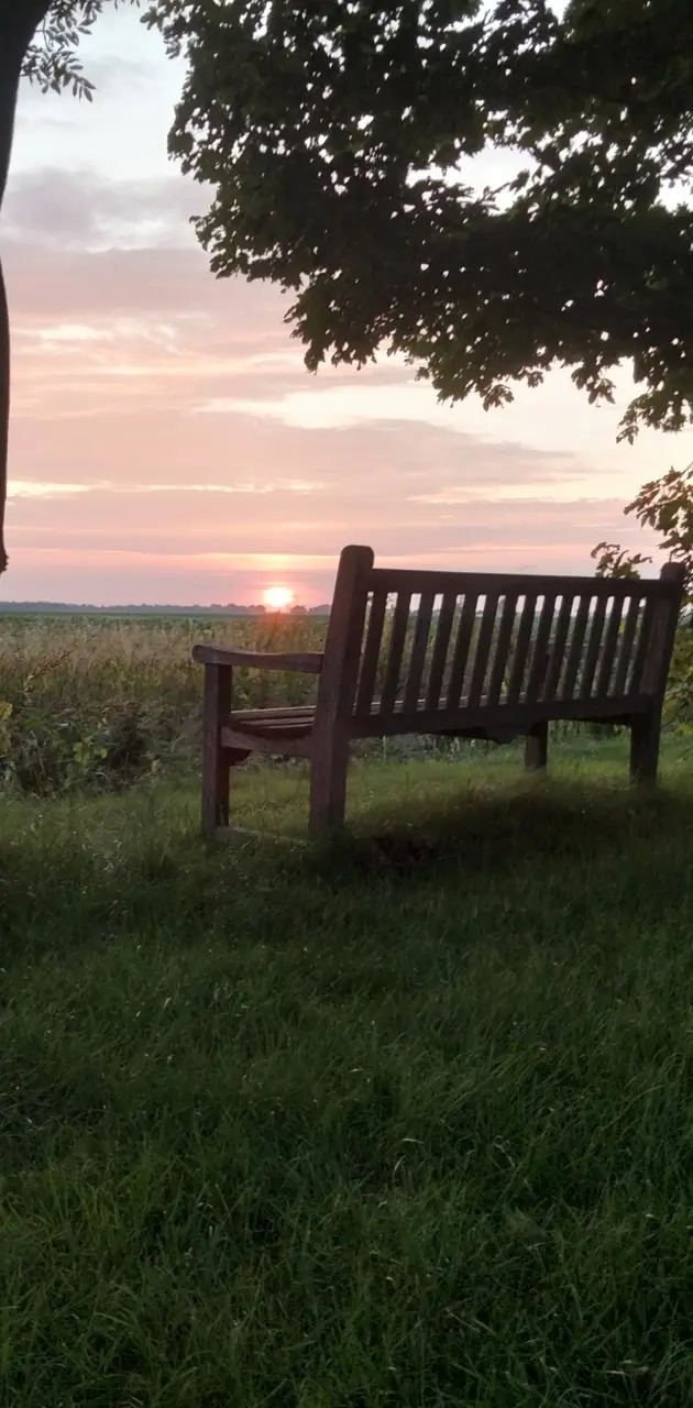 Bench by the sunset
