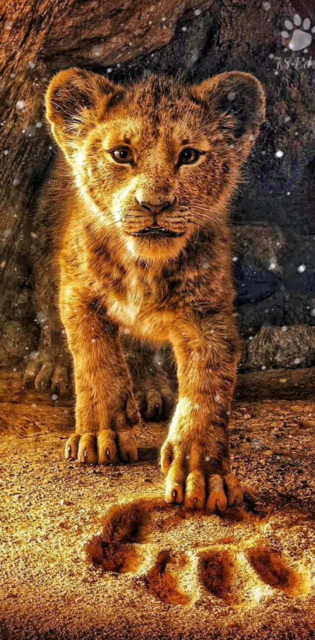 Little Lion King
