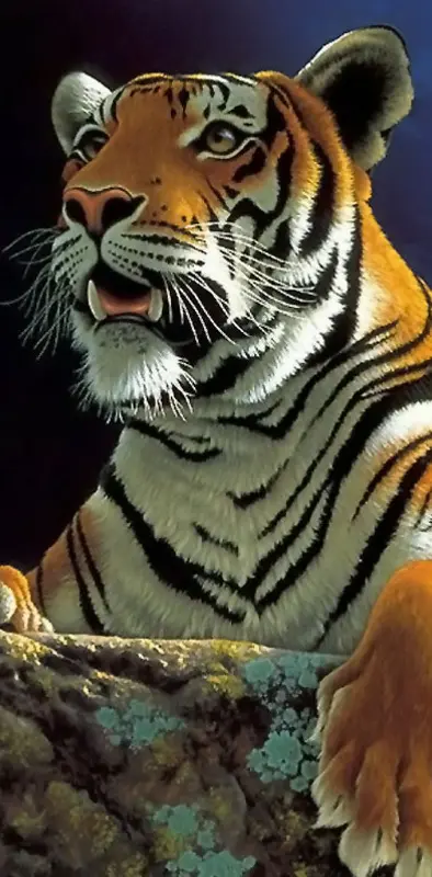 Drawn Tiger