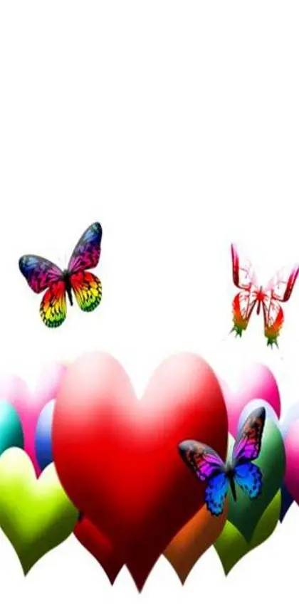 Hearts N Butterflies