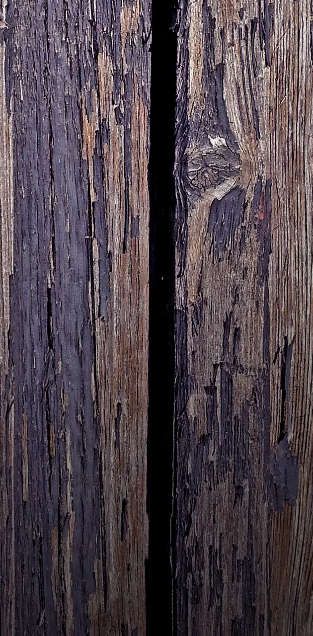 Woodshed Door
