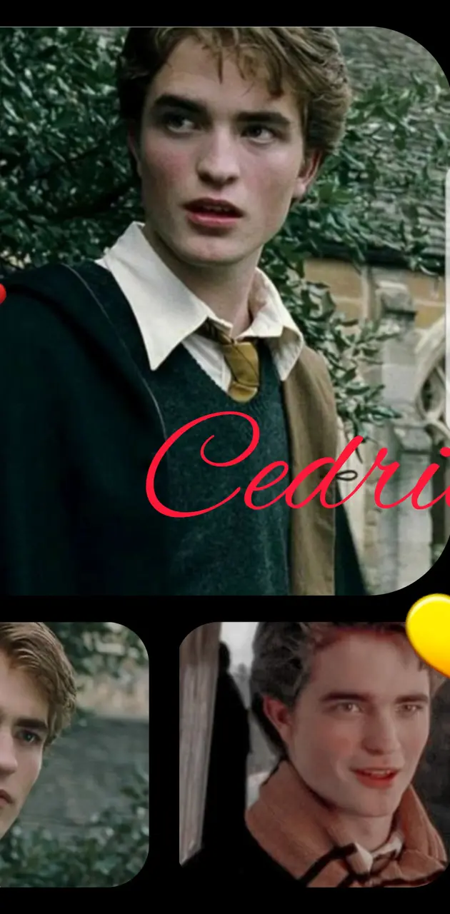 I love Cedric Diggory