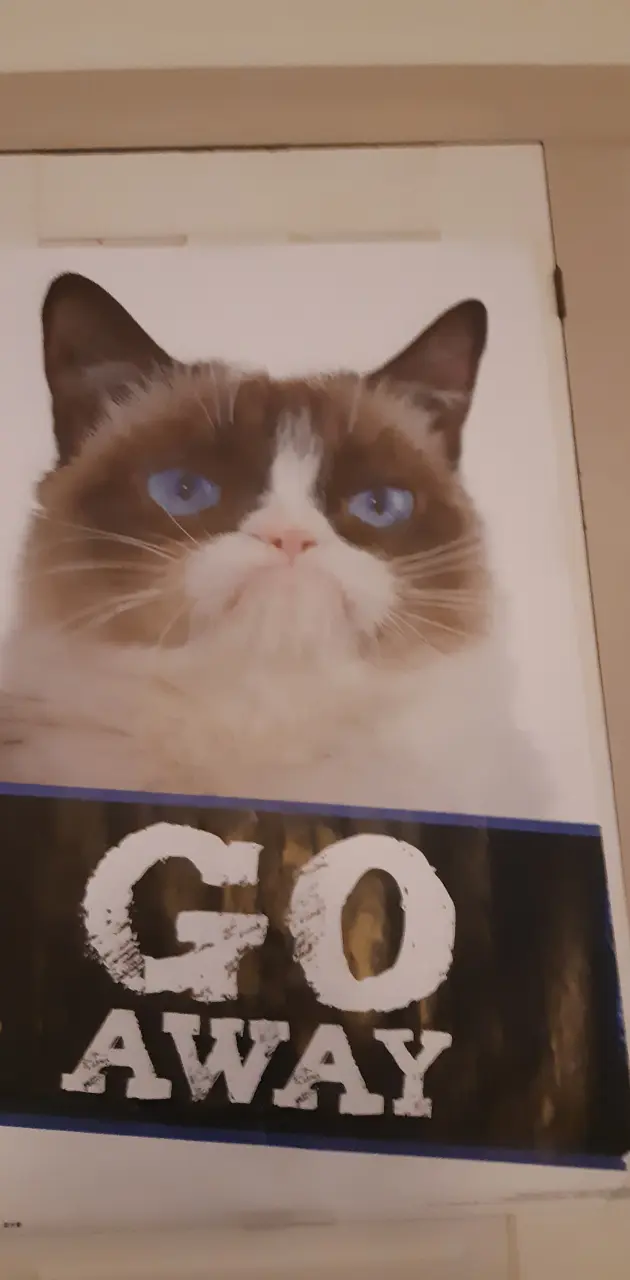 GO AWAY - Cat Poster