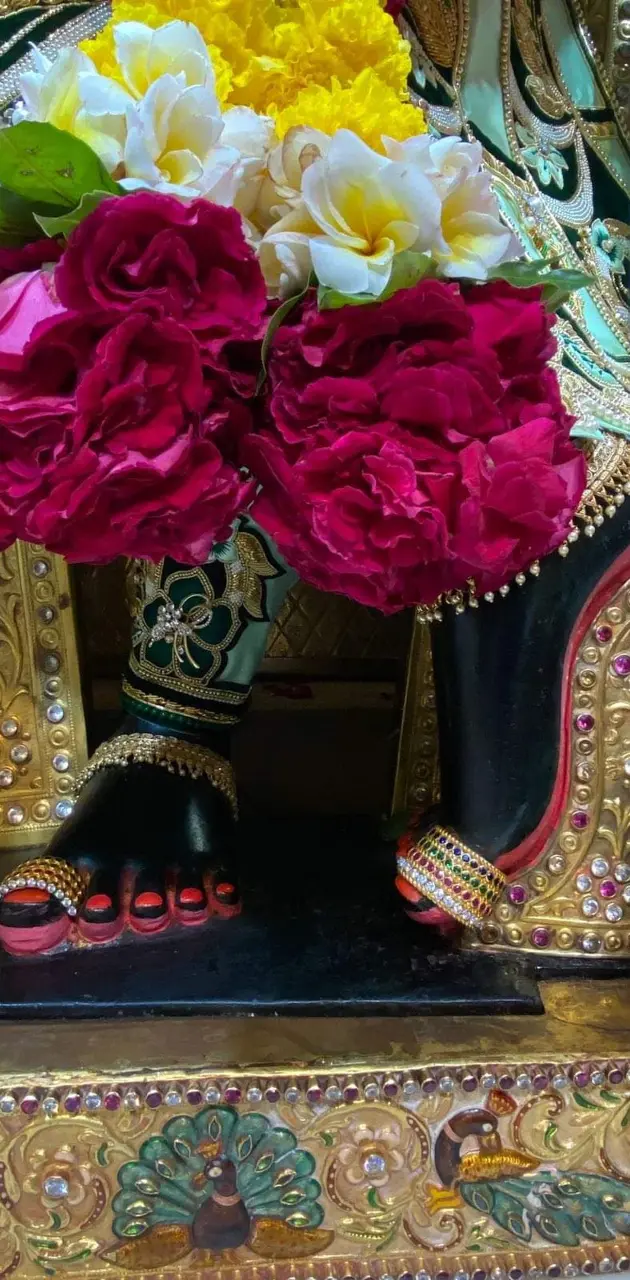 Lord Krishna's feet