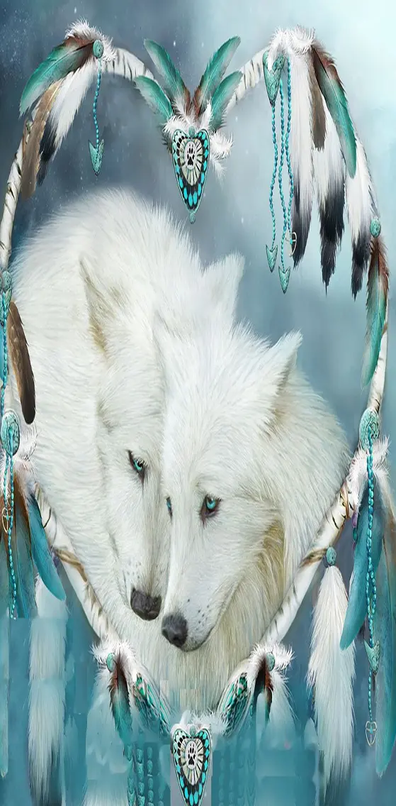 Beautiful   Wolfs