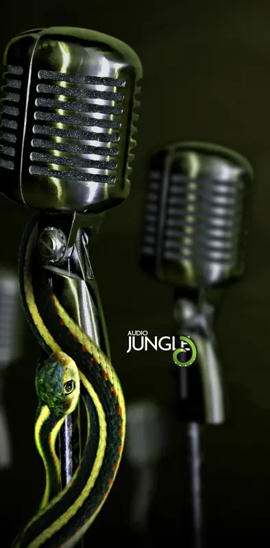 Jungle Mike