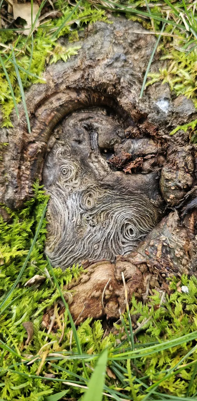 Swirly Wood