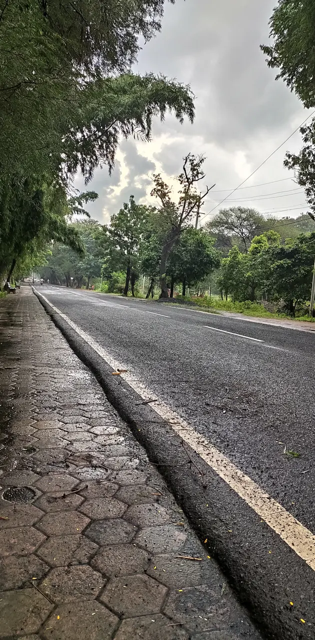 Rainy road