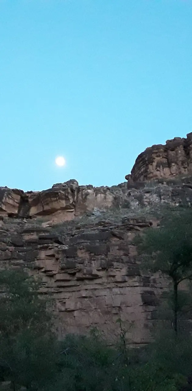 Canyon moonlight