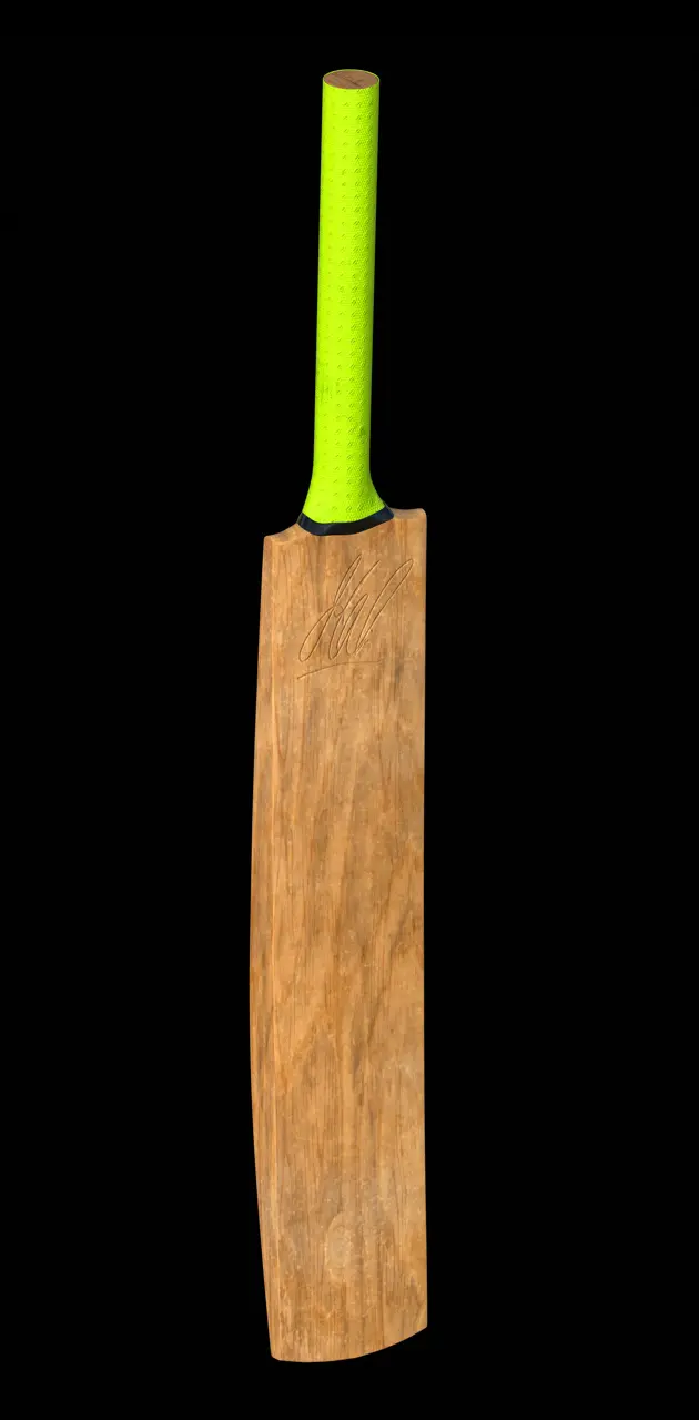 Dhoni cricket bat