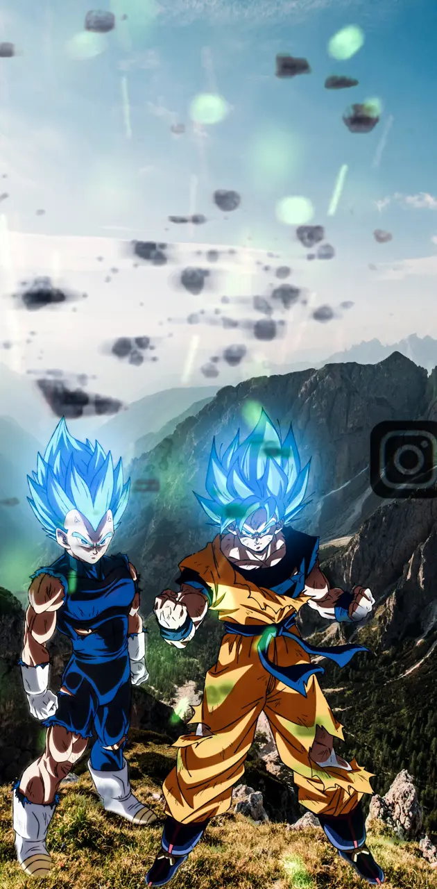 Goku e Vegeta - Dragon Ball Z ™