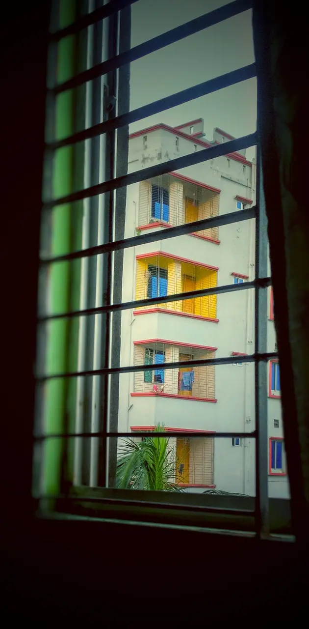 Window home