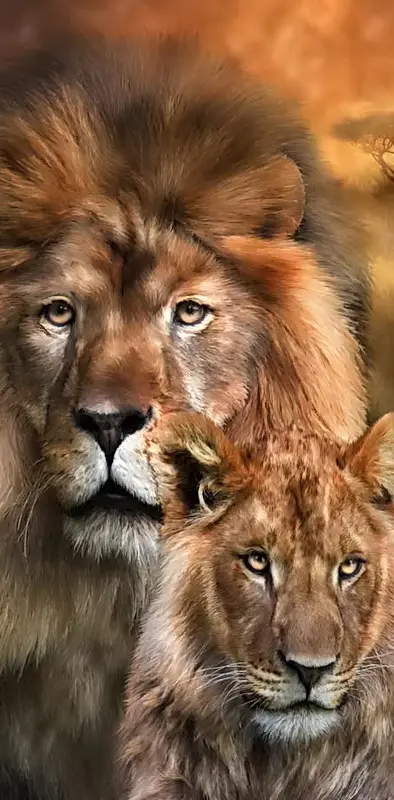 Lion-lioness
