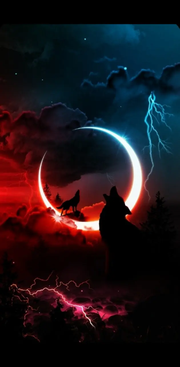 Midnight devil wolf