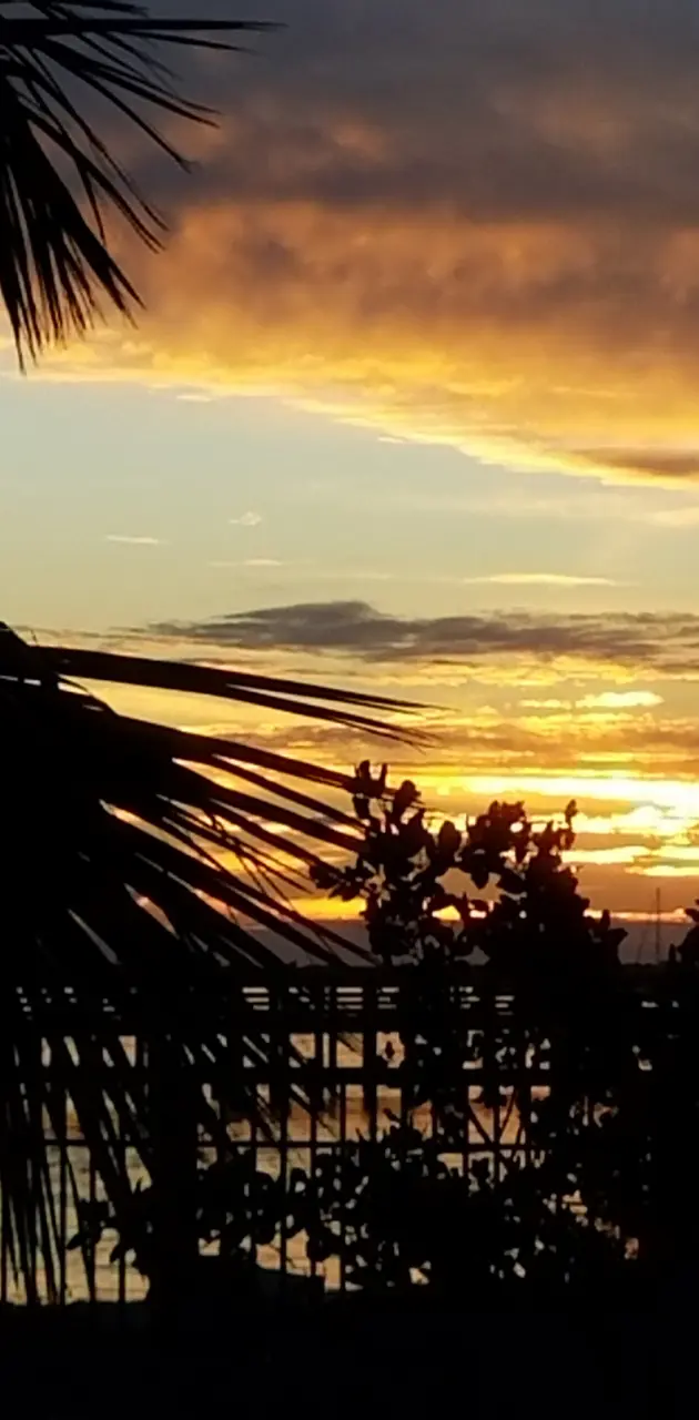 Sunset in Dunedin