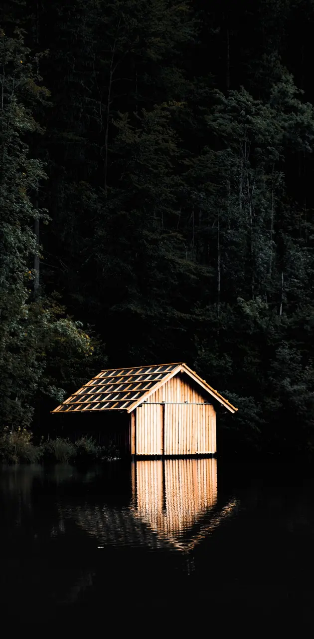 Wood Cabin