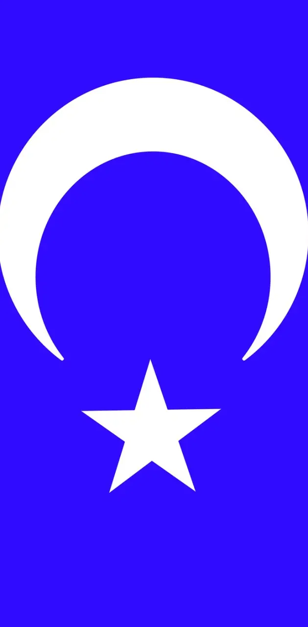 Turkish flag 3