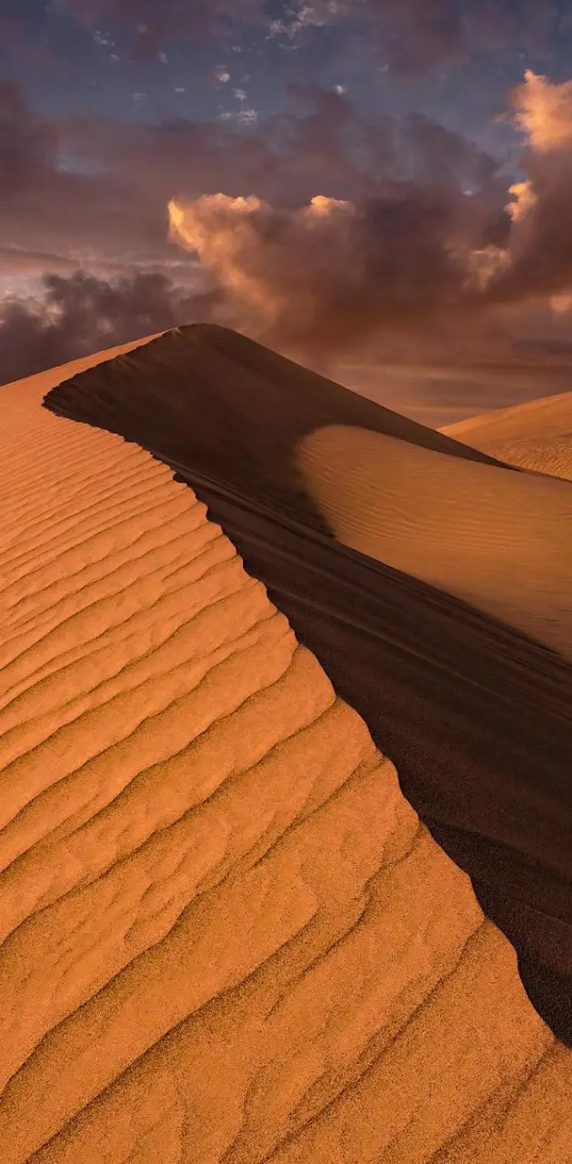 Sand Dunes at Dusk