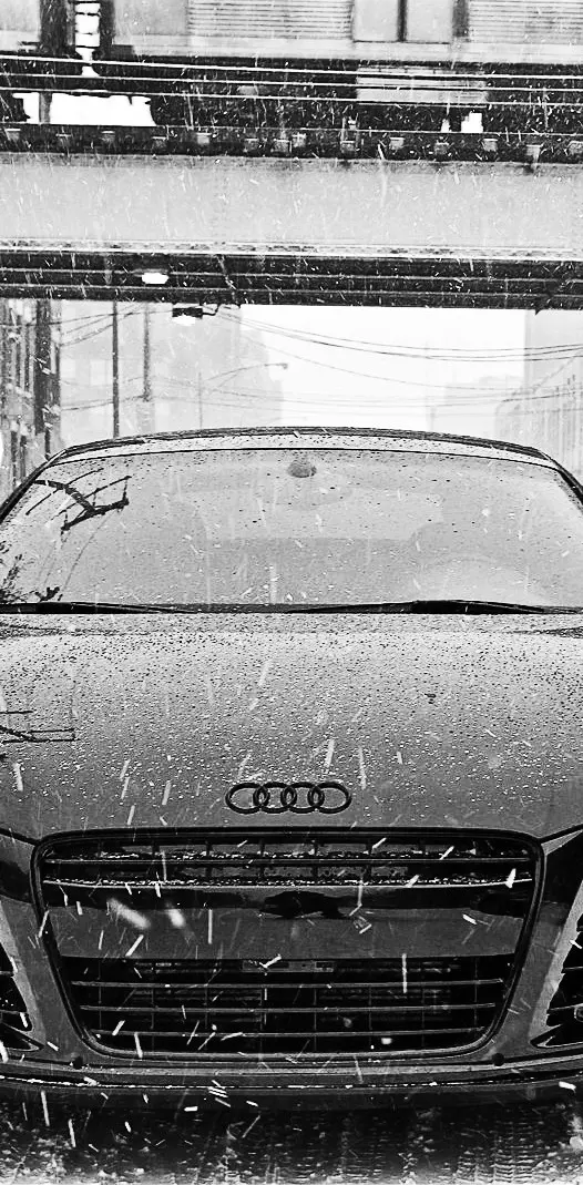 Audi In Snow