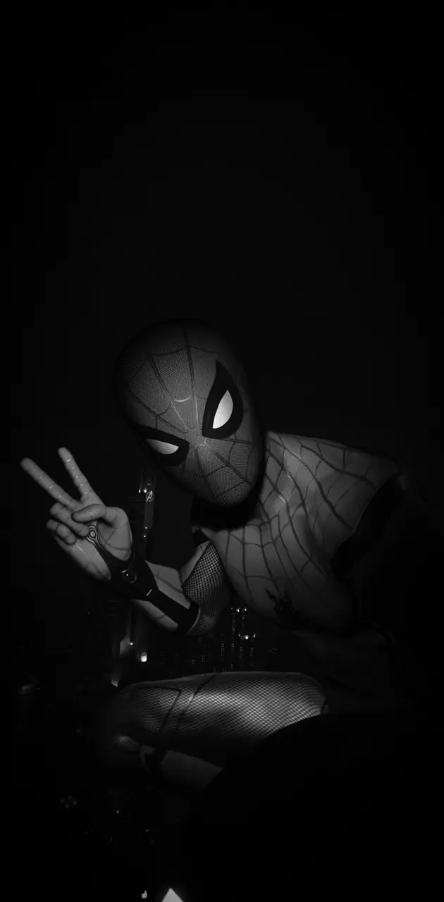 Spider-Man Selfie