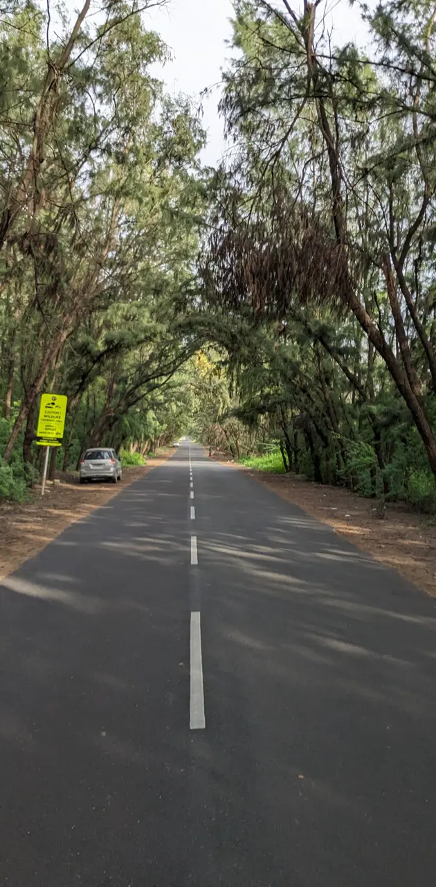 Road wallpaper by dodiyanaresh - Download on ZEDGE™ | 60cb