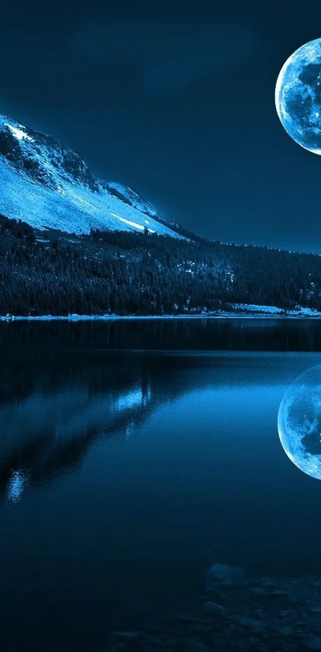 Moon Light Night