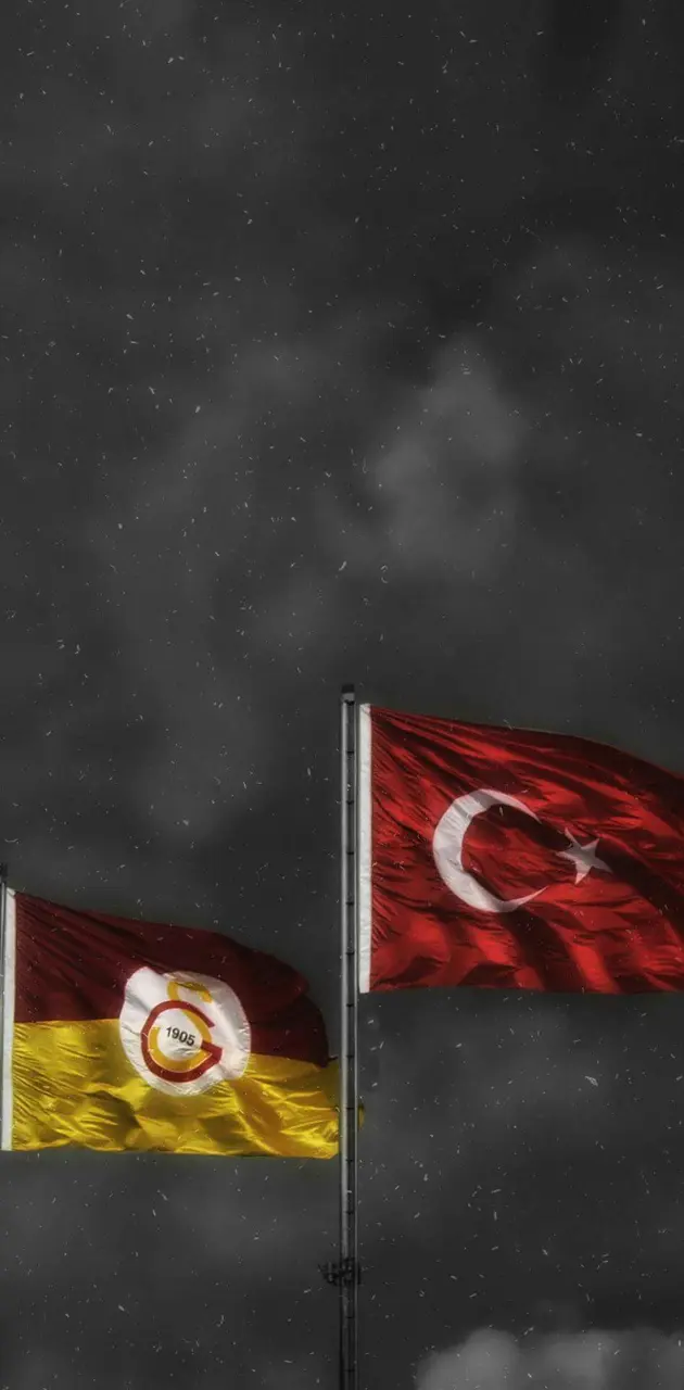 Turkey Gala Flag