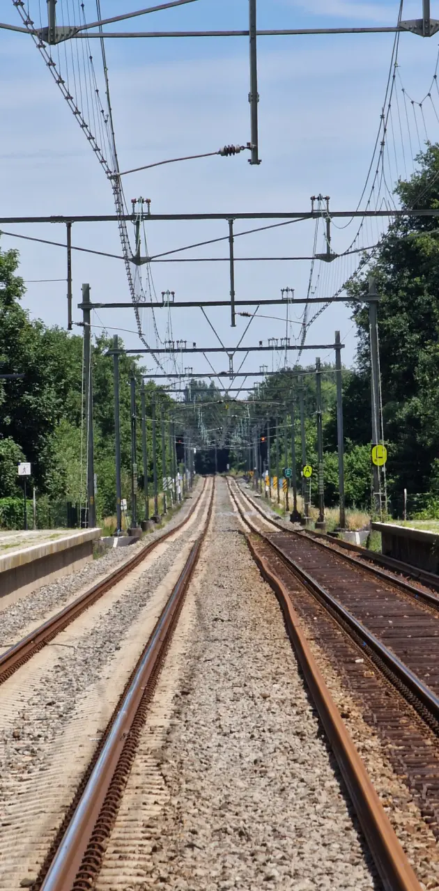 Dutch train track 