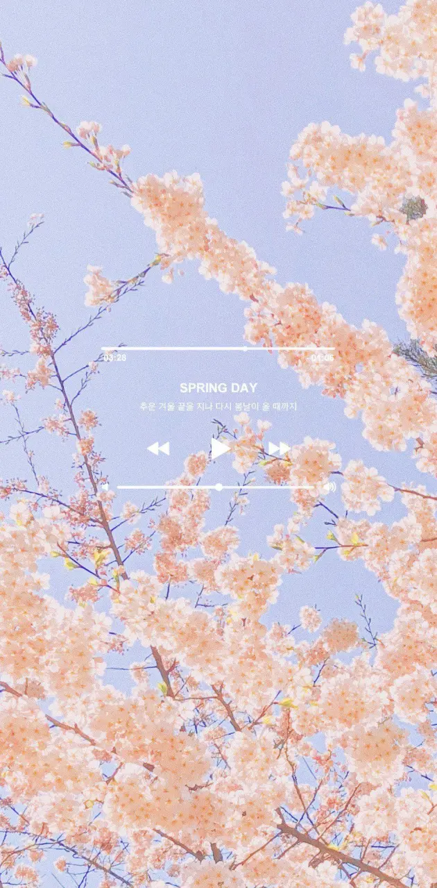 spring day