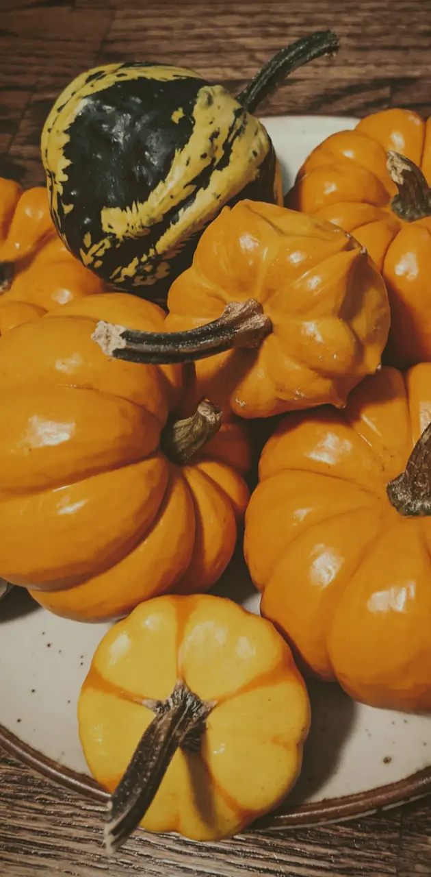 Pile o pumpkins