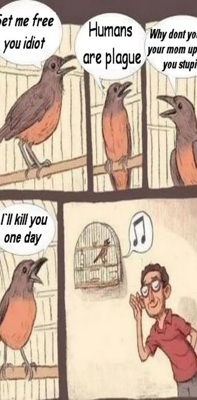 Bird Singing