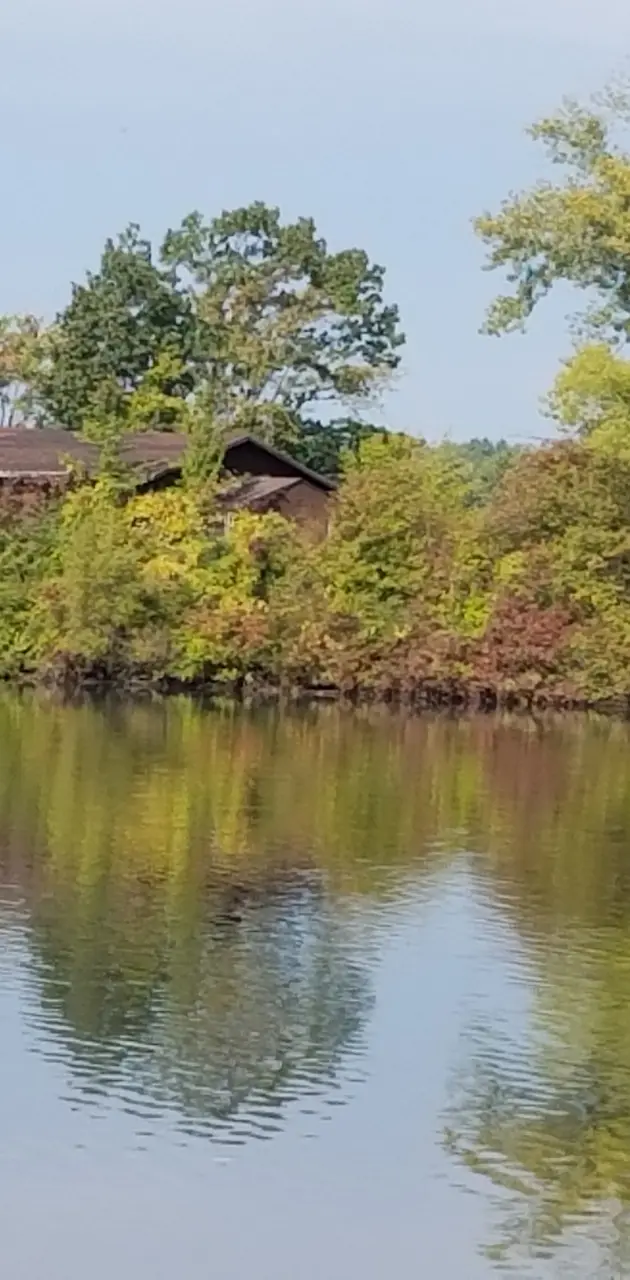 building on the lake