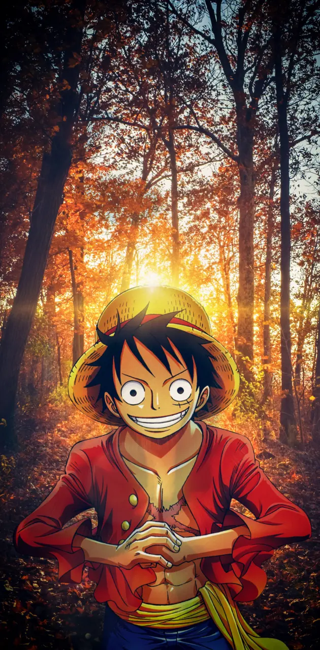 Luffy from One Piece
