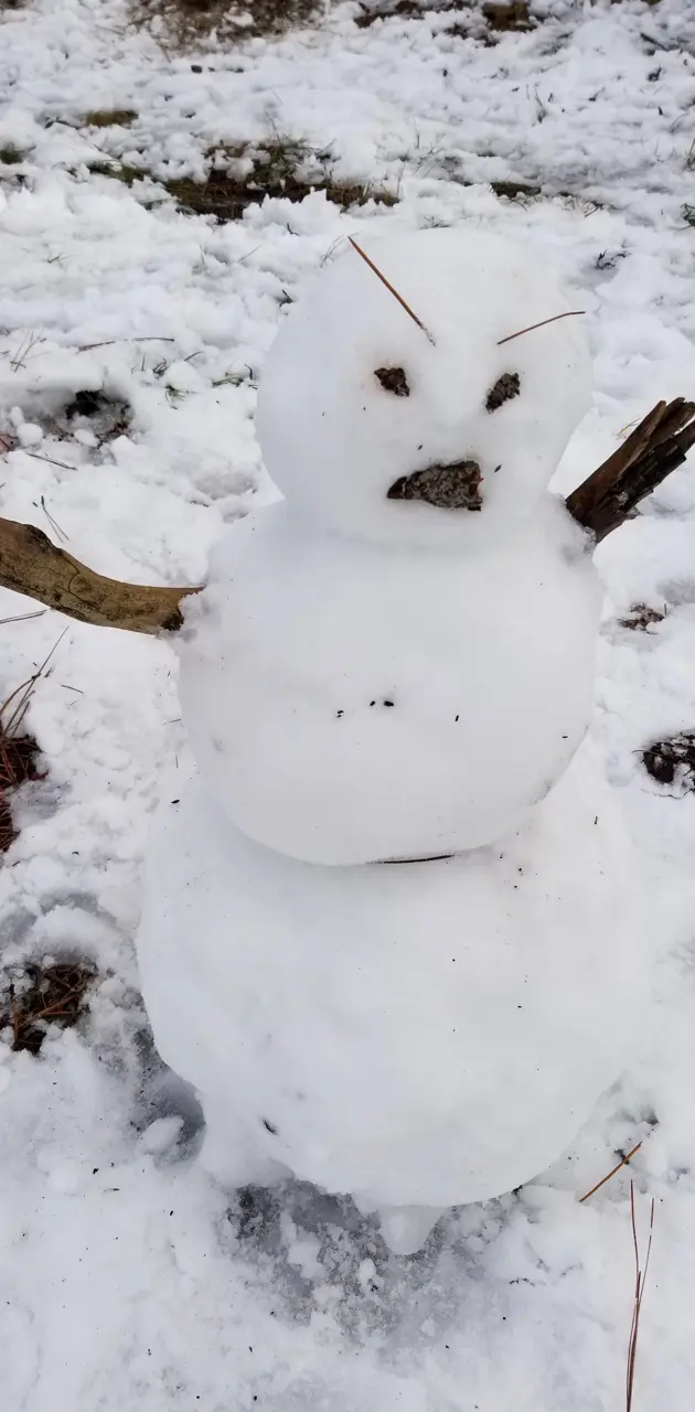 Angry Snowman