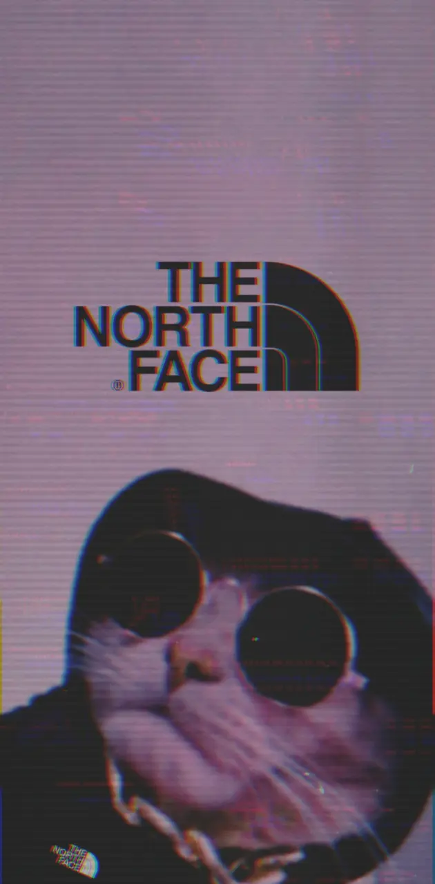 The North Face Cat