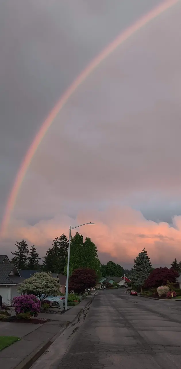 Oregon rainbow