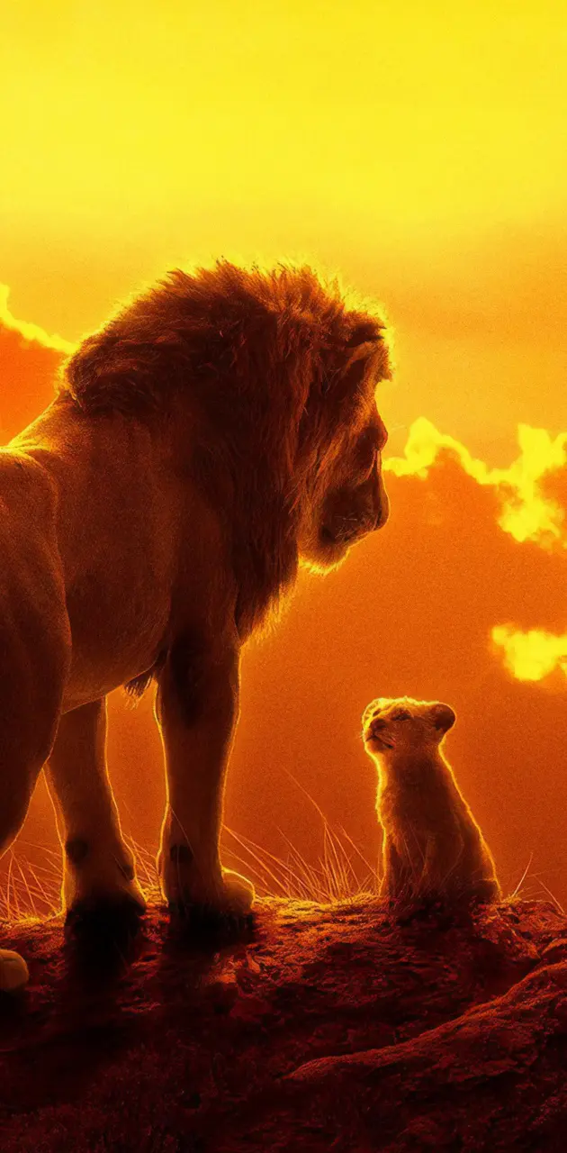 the lion King