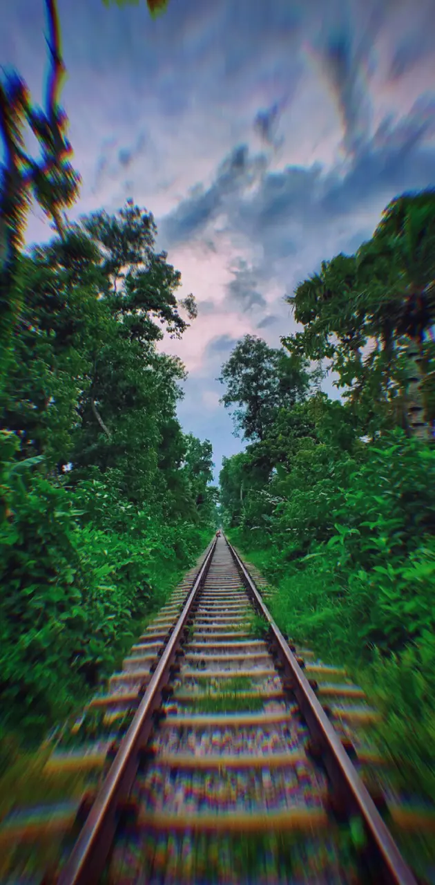 Rail line