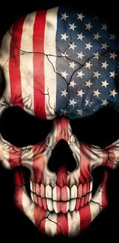 Skull flag US