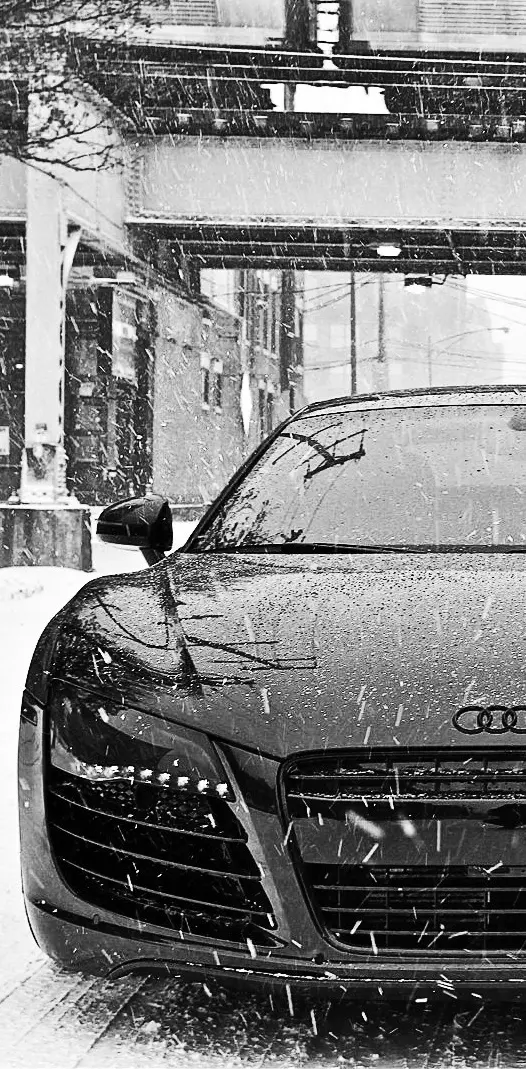 R8 In Snow