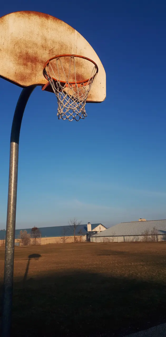 Old basketball net