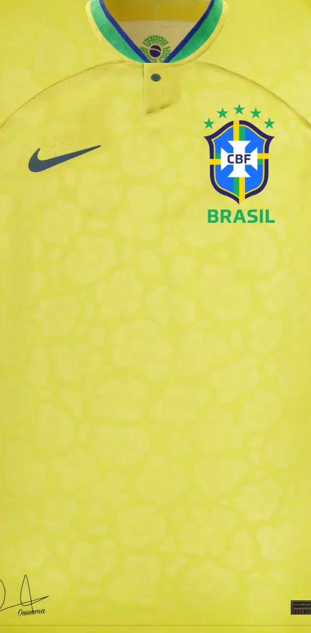 Brazil home kit