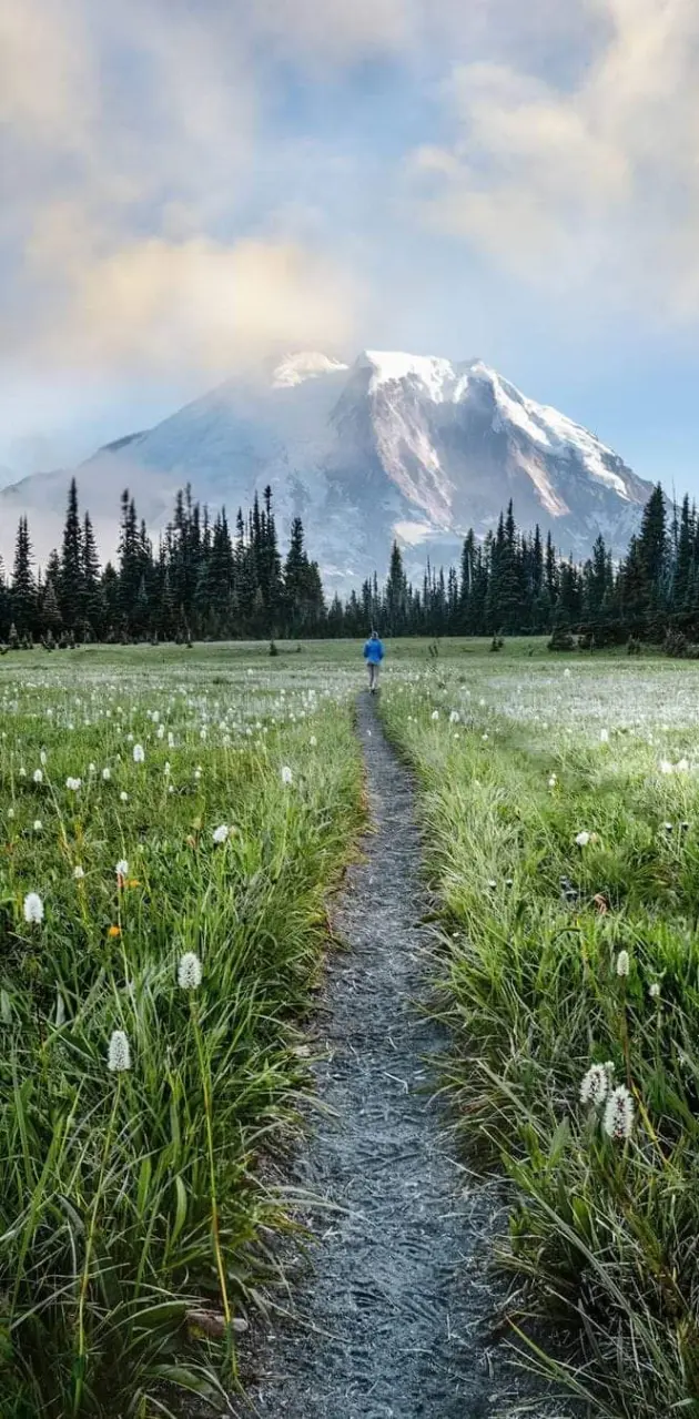Mount Rainier national