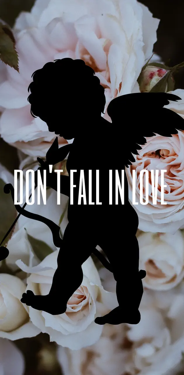 Dont fall in love