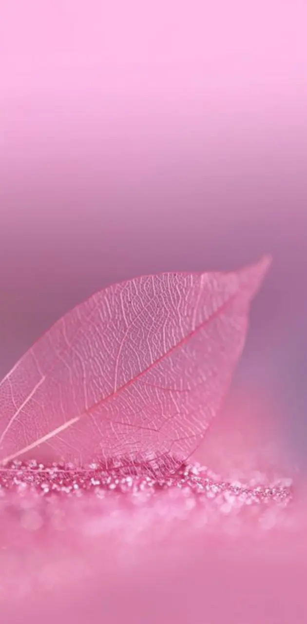 Pink wallpaper 