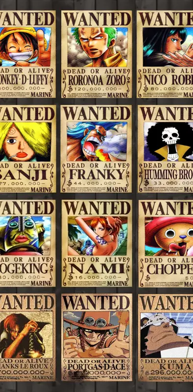Luffy Crew Bounty