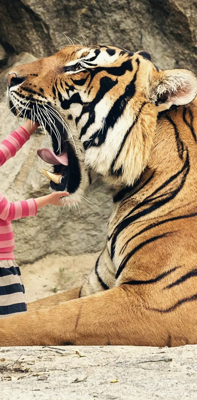 tiger and girl