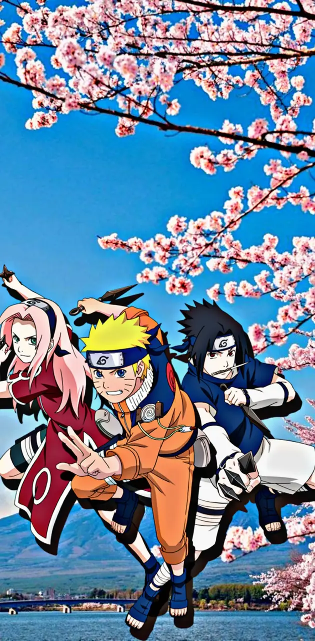 Naruto Sasuke Sakura